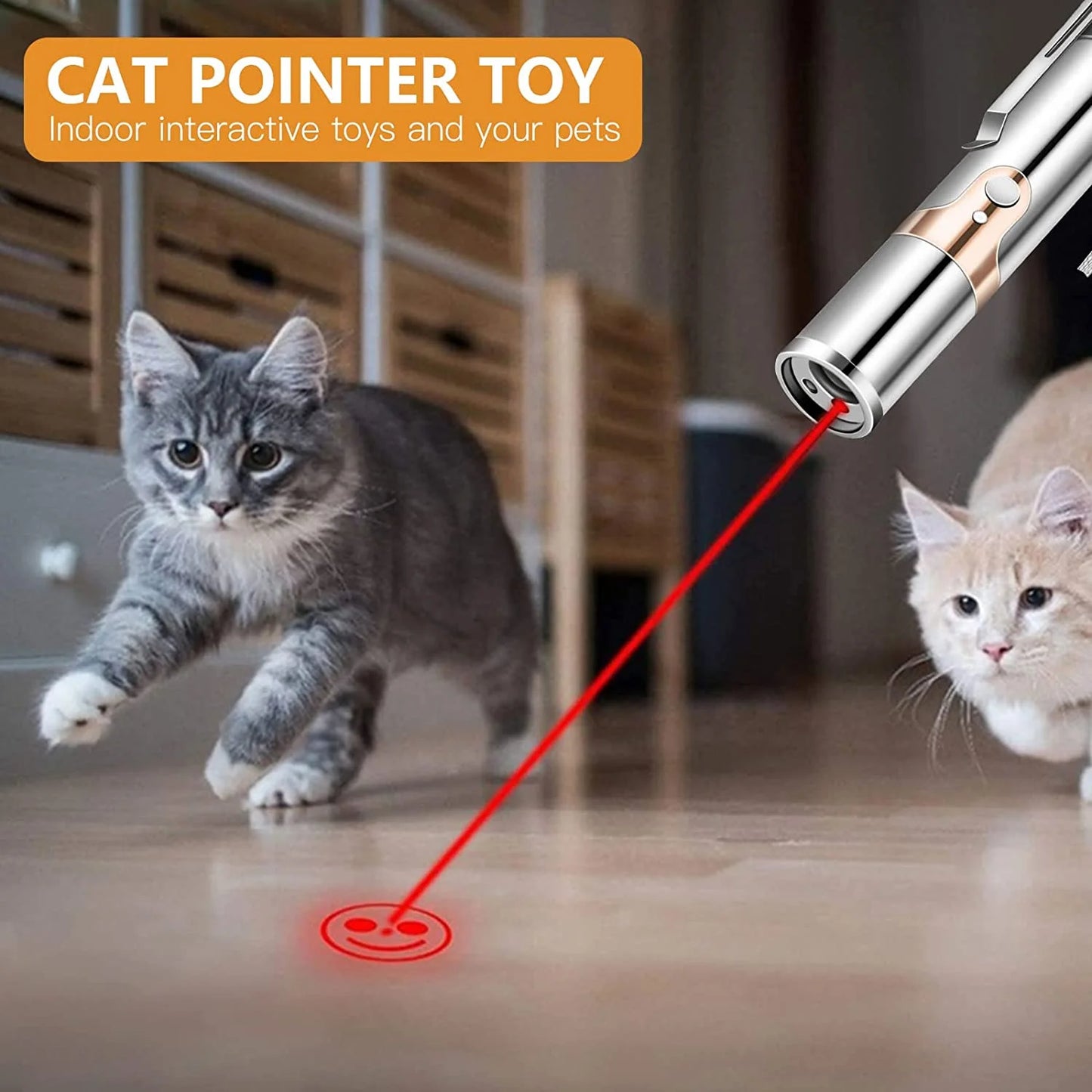 Cat Laser Pointer Toy Rechargeable, Interactive Toy for Cat Kitten Dog with a Mouse Toy, Silver