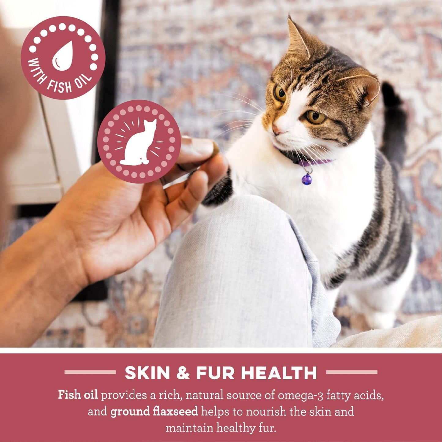 Feline Smartbites Skin & Fur Health Crunchy and Soft Textured Adult Natural Cat Treats