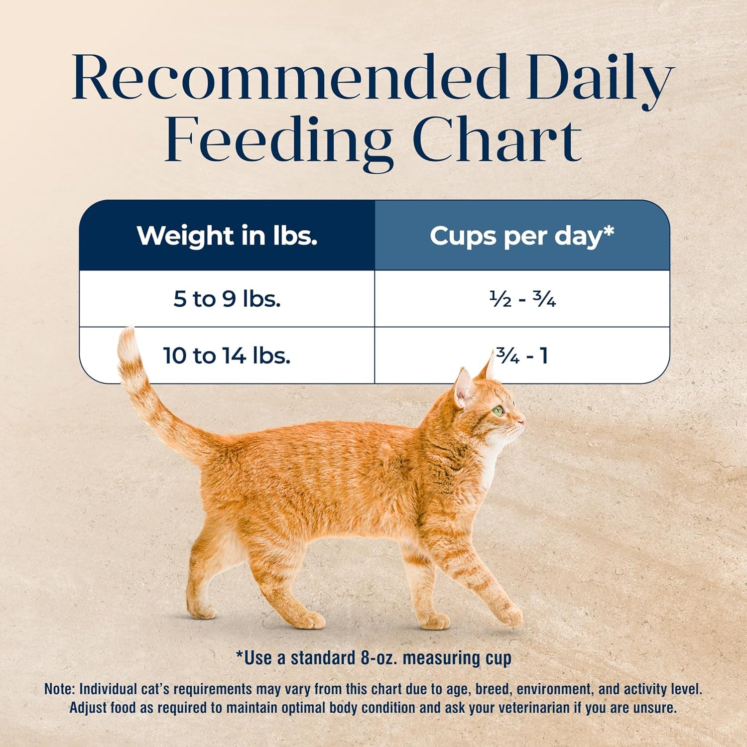 Basics Grain-Free Dry Cat Food, Skin & Stomach Care, Limited Ingredient Diet for Indoor Cats, Turkey & Potato Recipe