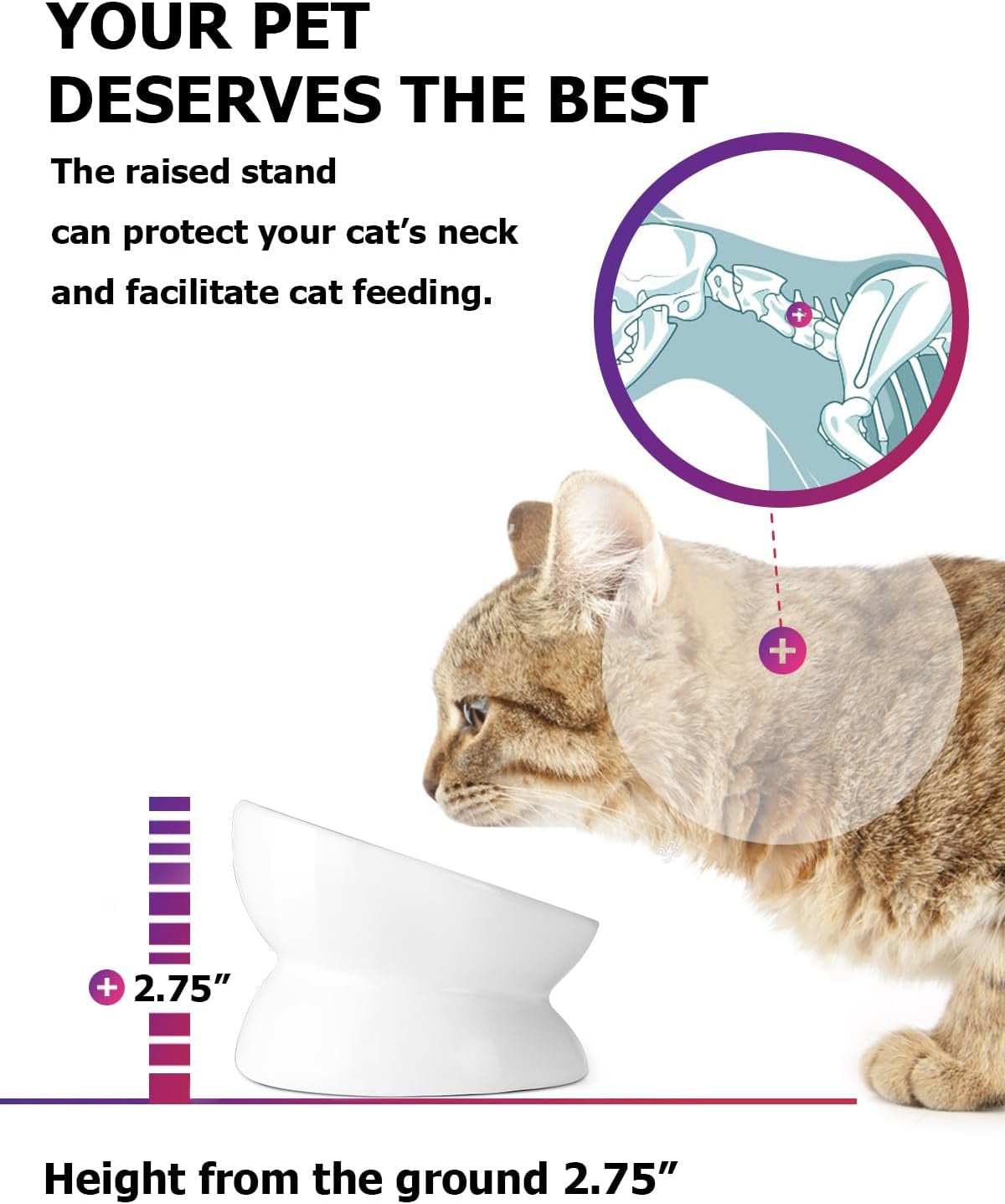 Cat Bowl anti Vomiting, Raised Food Bowls, Tilted Elevated Bowl, Ceramic Pet Food Bowl for Flat Faced Cats, Small Dogs, Protect Pet'S Spine, Dishwasher Safe (5 Inches, White)