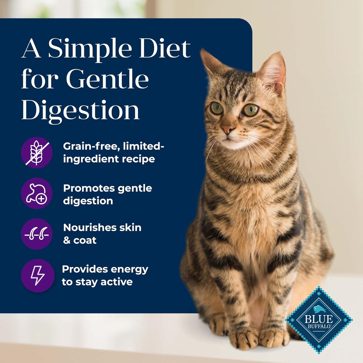 Basics Grain-Free Dry Cat Food, Skin & Stomach Care, Limited Ingredient Diet for Indoor Cats, Turkey & Potato Recipe