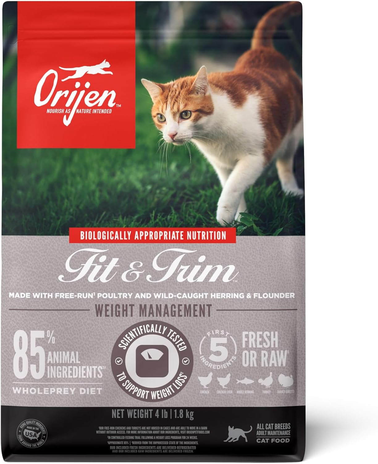 Original Cat, Grain Free Dry Cat Food for All Life Stages, with Wholeprey Ingredients, 4Lb