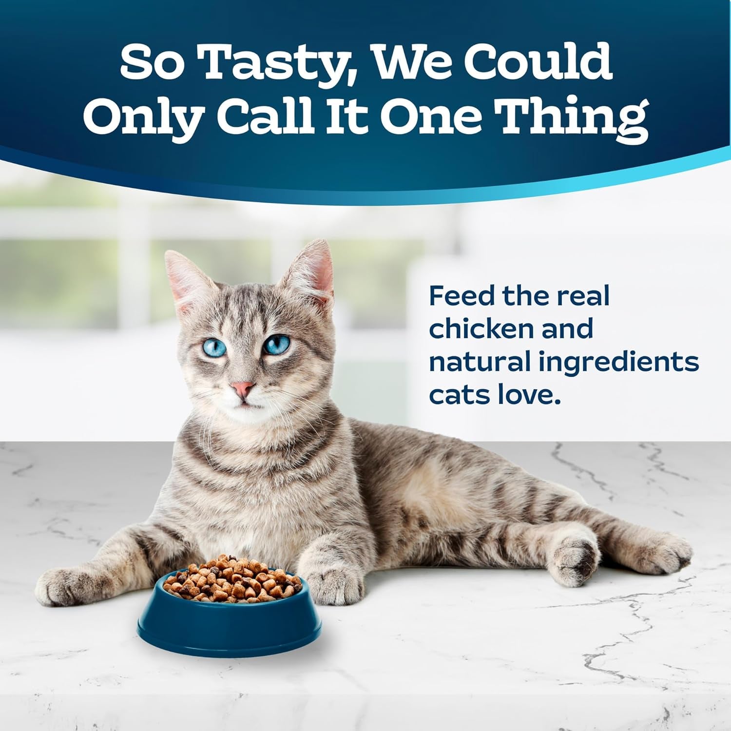 Tastefuls Natural Dry Food for Adult Indoor Cats, Chicken & Brown Rice Recipe