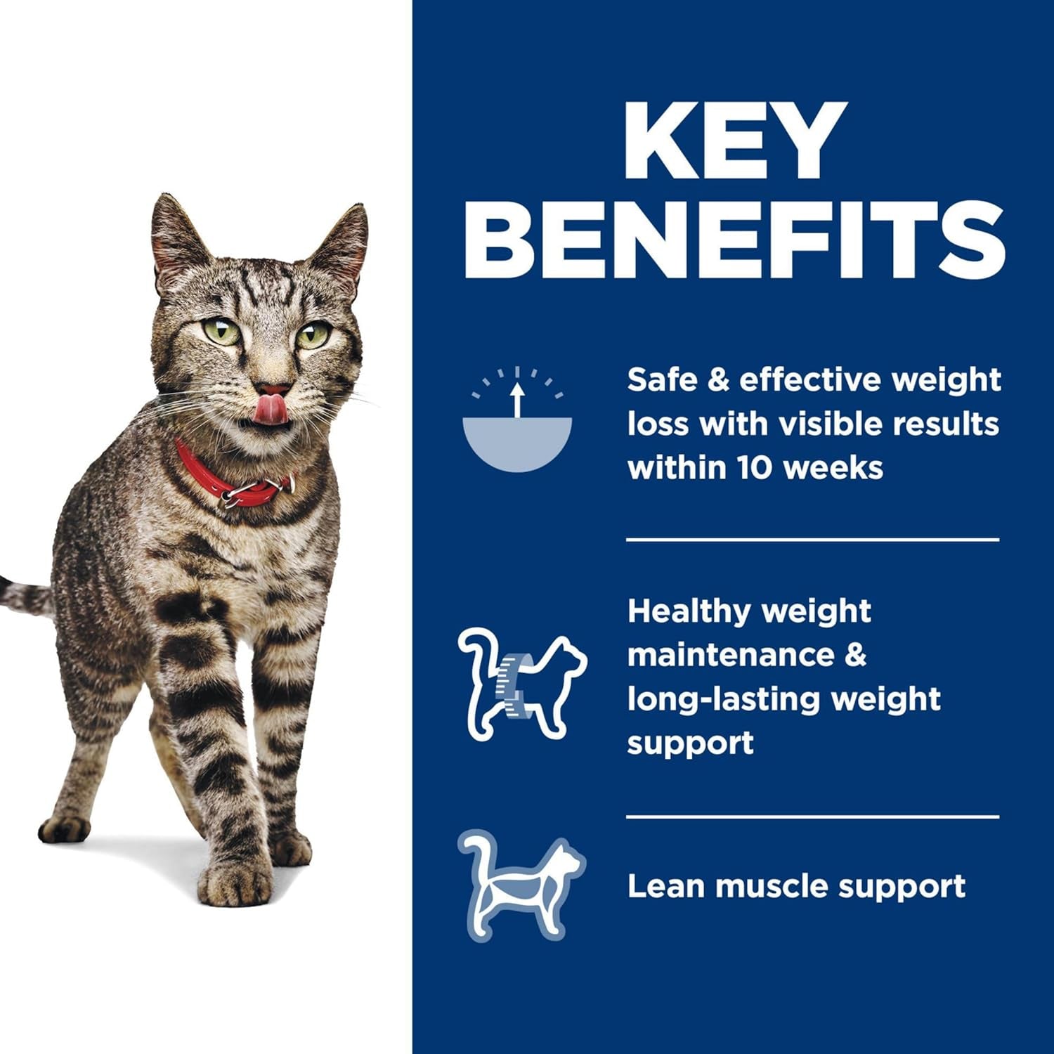 Perfect Weight, Adult 1-6, Weight Management Support, Dry Cat Food