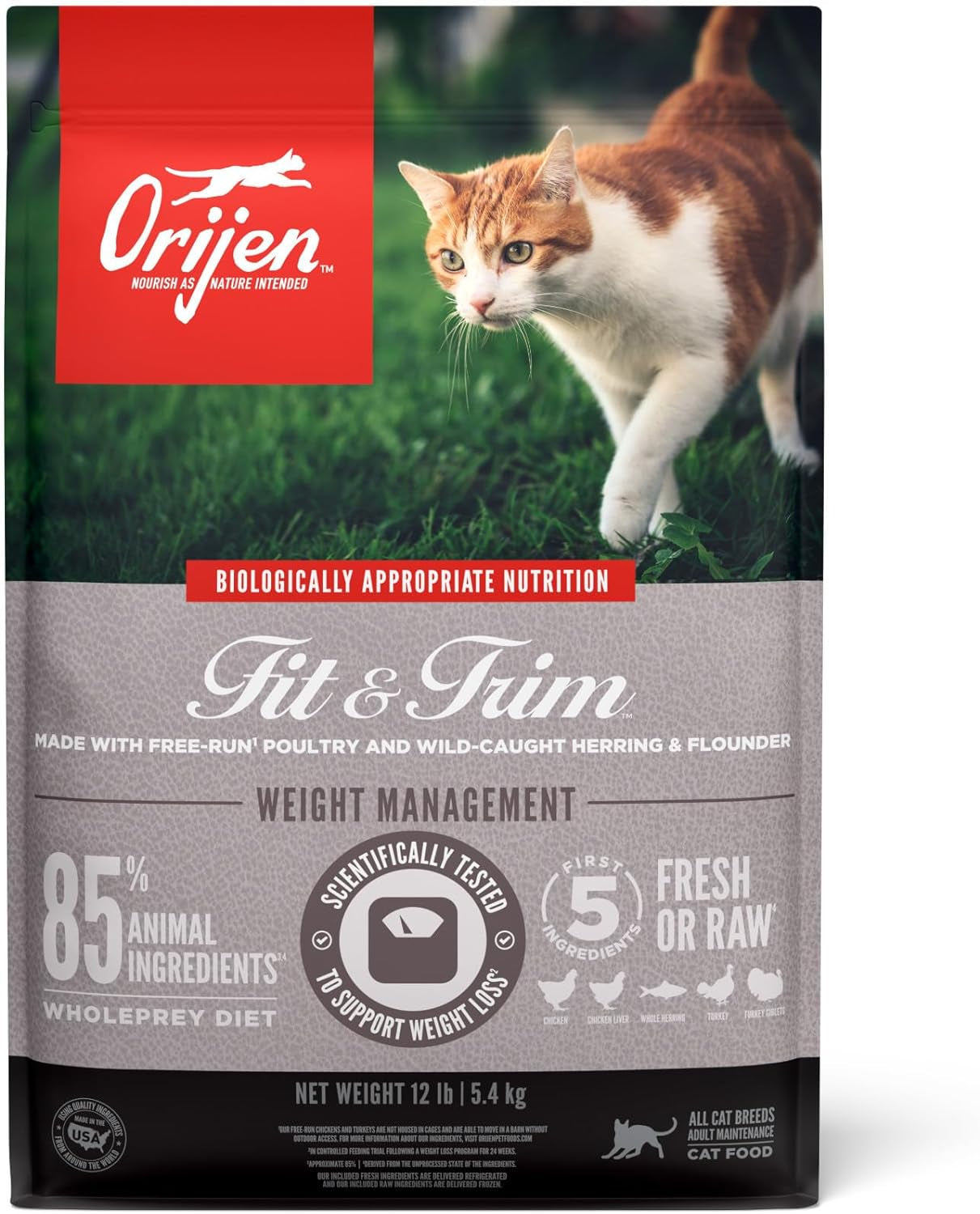 Original Cat, Grain Free Dry Cat Food for All Life Stages, with Wholeprey Ingredients, 4Lb