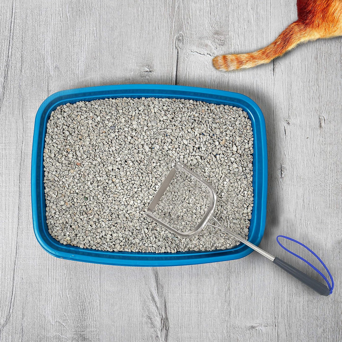 Square Cat Scooper for Litter Box - Stainless Steel Long Metal Cat Litter Scoop (Scoop)