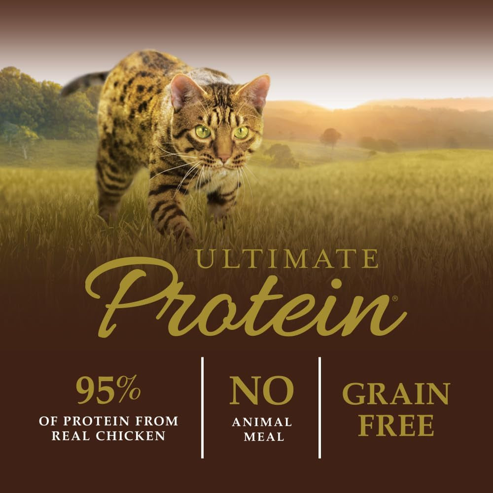 Ultimate Protein Grain Free Cage Free Chicken Recipe Natural Dry Cat Food