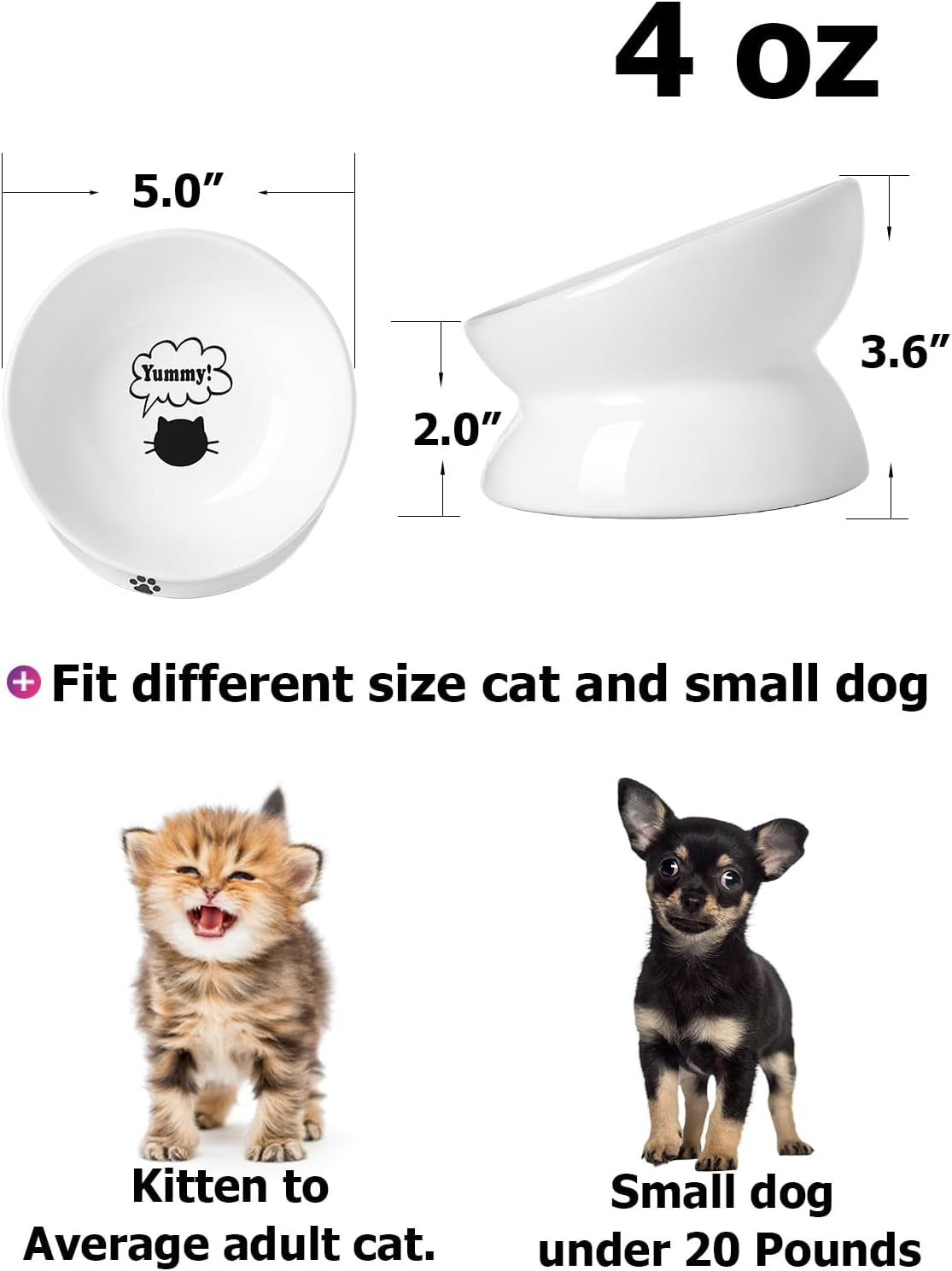 Cat Bowl anti Vomiting, Raised Food Bowls, Tilted Elevated Bowl, Ceramic Pet Food Bowl for Flat Faced Cats, Small Dogs, Protect Pet'S Spine, Dishwasher Safe (5 Inches, White)