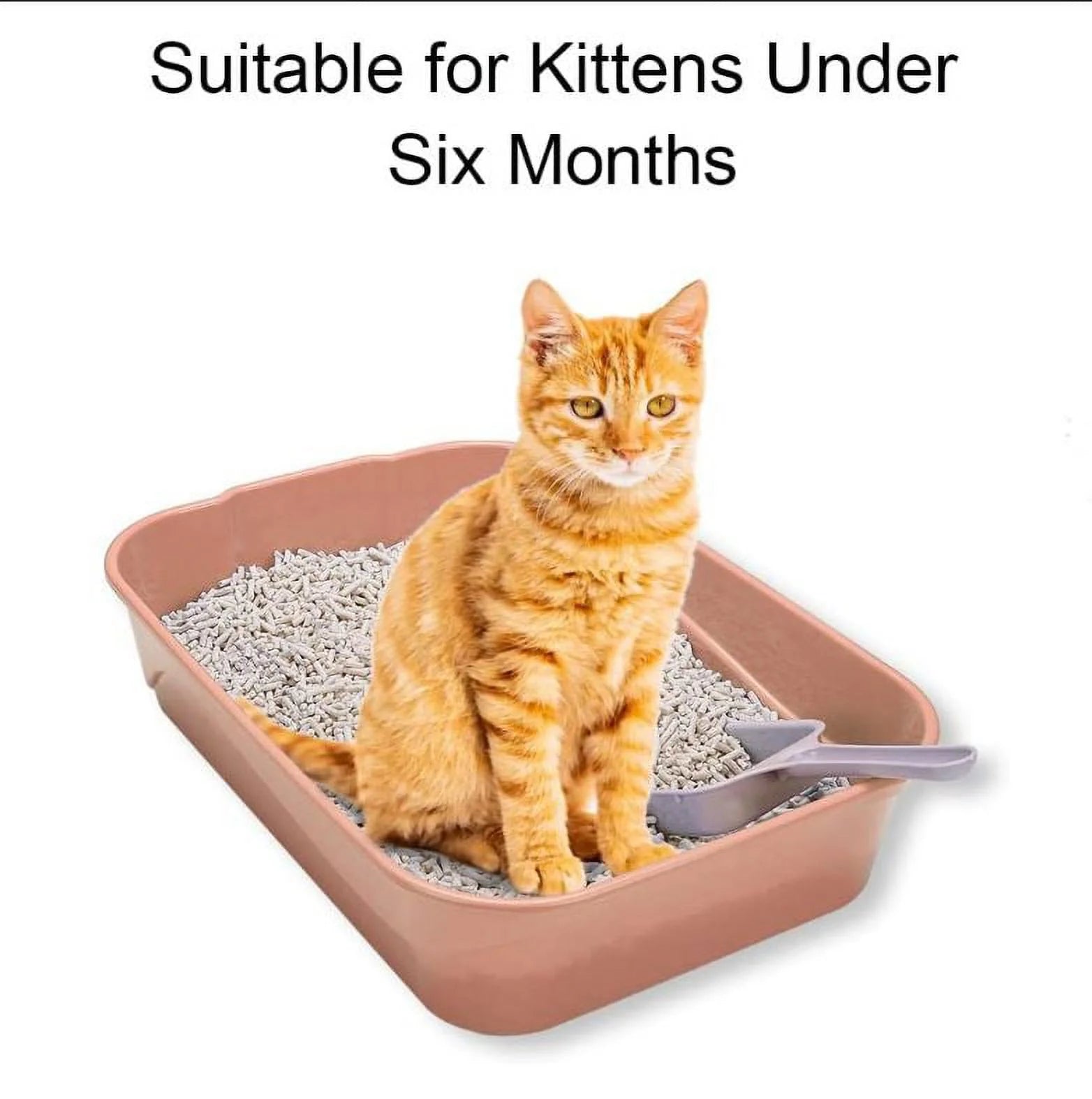 Kitty Litter Box Starter Kit - without Lid Cat Litter Pan, Mat, Scoop and Bowl for Kitten